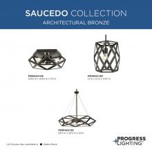 PROG_Saucedo_Architectural_Bronze_GeneralLit.jpg