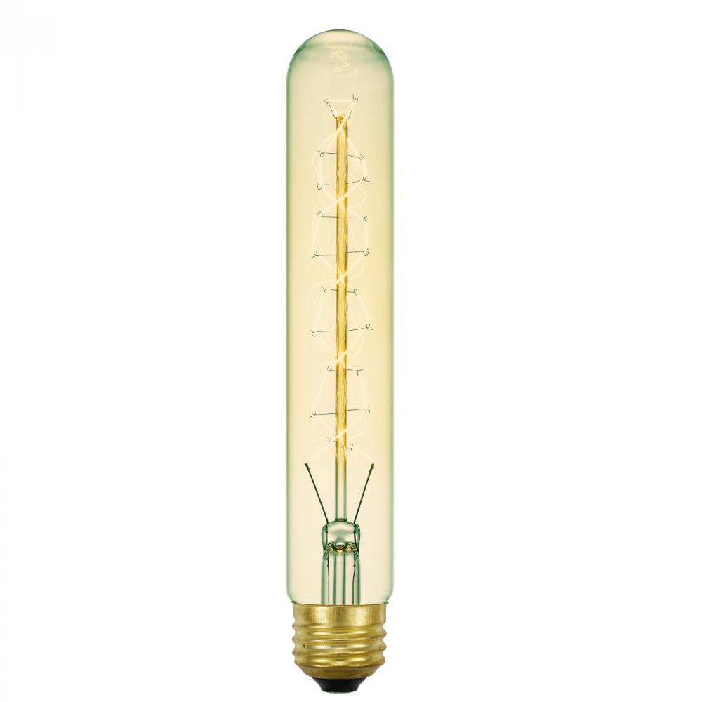 E26 120V, 60W T10 Edison Bulb,