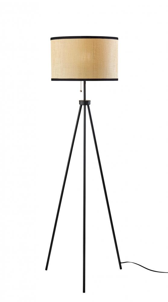 Raven Floor Lamp