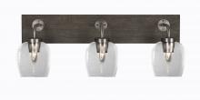 Toltec Company 1773-GPDW-4810 - Bathroom Lighting