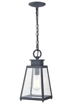 Revolution Lighting OH1816BKSD - 16" Outdoor Hanging Lantern